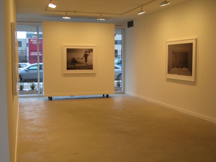 Laura Letinsky: The Dog and The Wolf at Monique Meloche Gallery, Chicago