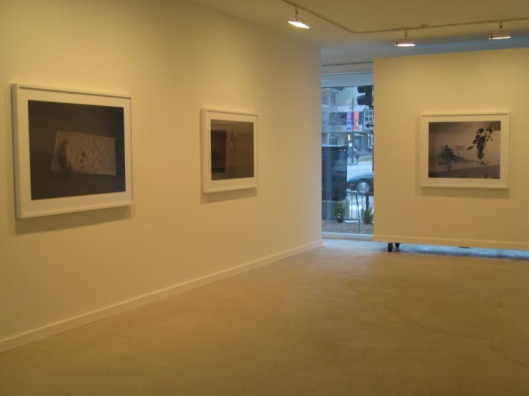 Laura Letinsky: The Dog and The Wolf at Monique Meloche Gallery, Chicago