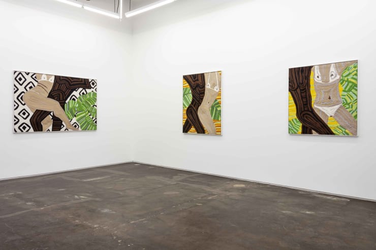 Cheryl Pope: BASKING NEVER HURT NO ONE at Monique Meloche Gallery, Chicago