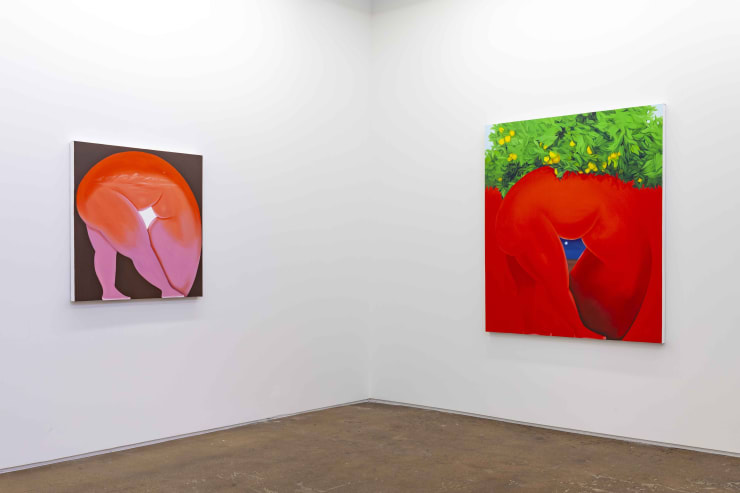 Brittney Leeanne Williams, Jake Troyli, Bianca Nemelc: Show Me Yours at Monique Meloche Gallery, Chicago