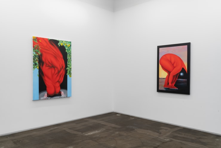 Installation view, Brittney Leeanne Williams, How Far Between and Back, 2021 at Monique Meloche Gallery.