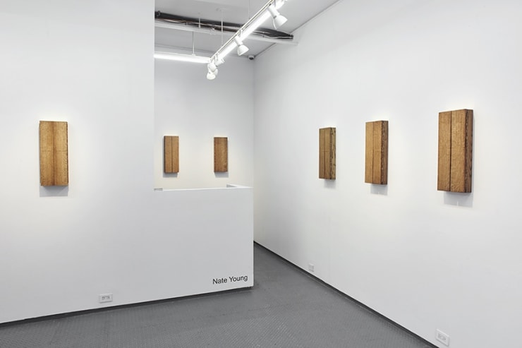 Nate Young at Monique Meloche Gallery LES, New York