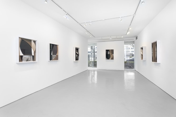 Sheree Hovsepian: The Altogether. at Monique Meloche Gallery, Chicago