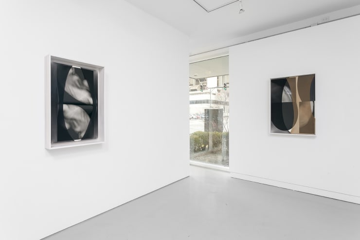 Sheree Hovsepian: The Altogether. at Monique Meloche Gallery, Chicago