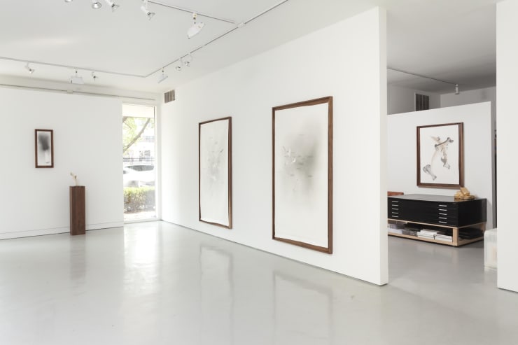 Nate Young: Cleromancy at Monique Meloche Gallery, Chicago