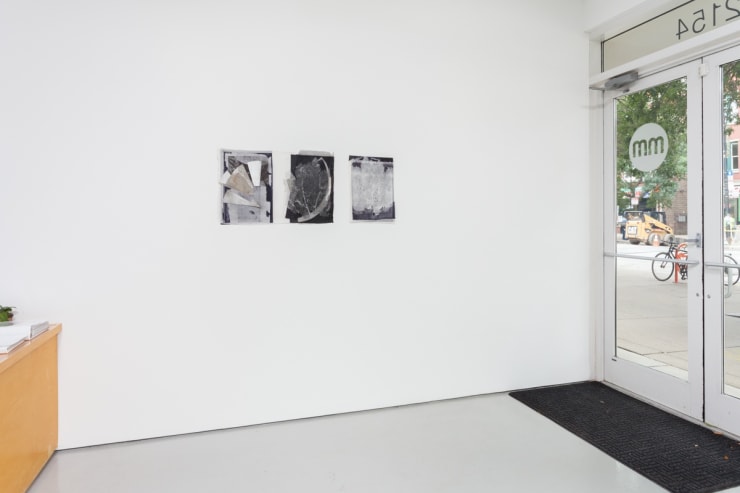 Kate Levant: …Which’s Ploying the Fans at Monique Meloche Gallery, Chicago