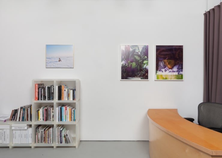 Carla Arocha, Sanford Biggers, Rashayla Marie Brown, Justin Cooper, Davis/Langlois, Karolina Gnatowski, Michelle Grabner, Dan Gunn, Sheree Hovsepian, Rashid Johnson, Maya Mackrandilal, Heidi Norton, Cheryl Pope, Karen Reimer, Joel Ross, Carrie Schneider: Winter Experiment: SAIC at MMG at Monique Meloche Gallery, Chicago
