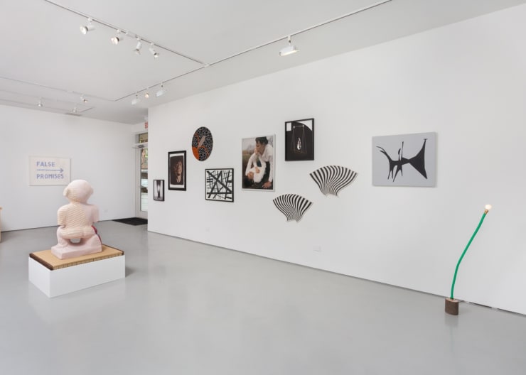 Carla Arocha, Sanford Biggers, Rashayla Marie Brown, Justin Cooper, Davis/Langlois, Karolina Gnatowski, Michelle Grabner, Dan Gunn, Sheree Hovsepian, Rashid Johnson, Maya Mackrandilal, Heidi Norton, Cheryl Pope, Karen Reimer, Joel Ross, Carrie Schneider: Winter Experiment: SAIC at MMG at Monique Meloche Gallery, Chicago