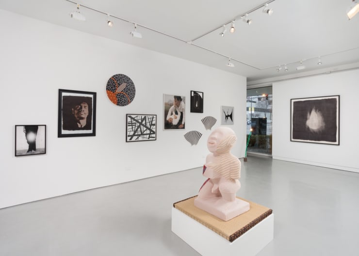 Carla Arocha, Sanford Biggers, Rashayla Marie Brown, Justin Cooper, Davis/Langlois, Karolina Gnatowski, Michelle Grabner, Dan Gunn, Sheree Hovsepian, Rashid Johnson, Maya Mackrandilal, Heidi Norton, Cheryl Pope, Karen Reimer, Joel Ross, Carrie Schneider: Winter Experiment: SAIC at MMG at Monique Meloche Gallery, Chicago