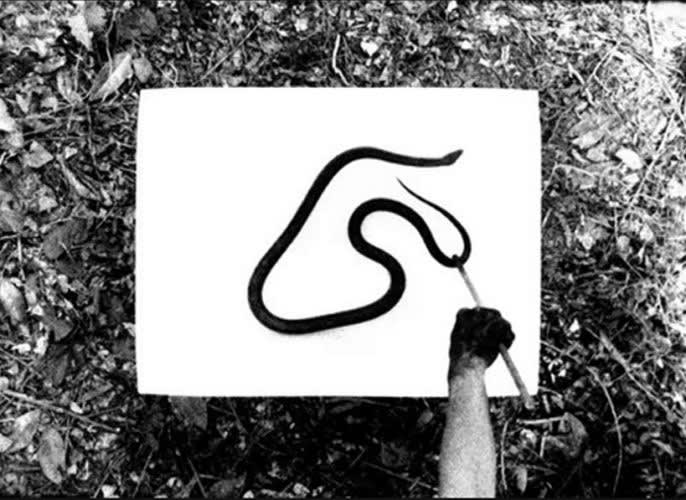 Jeffrey Whetstone: Drawing E. obsoleta at Monique Meloche Gallery, Chicago