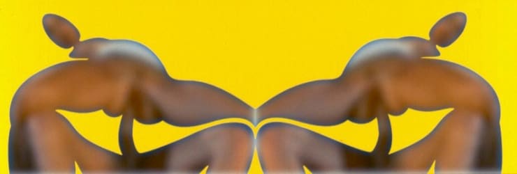 Chromophilia double , 2001, Archival ink jet print, 32 x 89 inches
