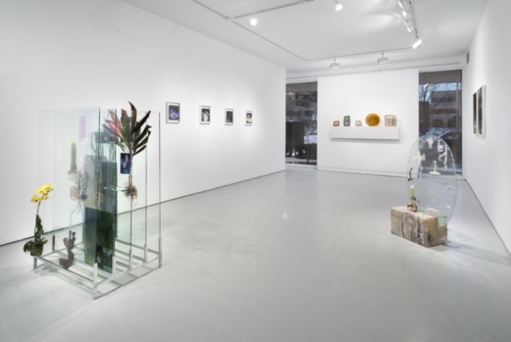 Heidi Norton: to Threptikon at Monique Meloche Gallery, Chicago