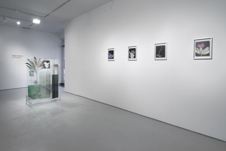Heidi Norton: to Threptikon at Monique Meloche Gallery, Chicago