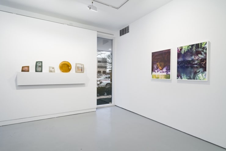 Heidi Norton: to Threptikon at Monique Meloche Gallery, Chicago