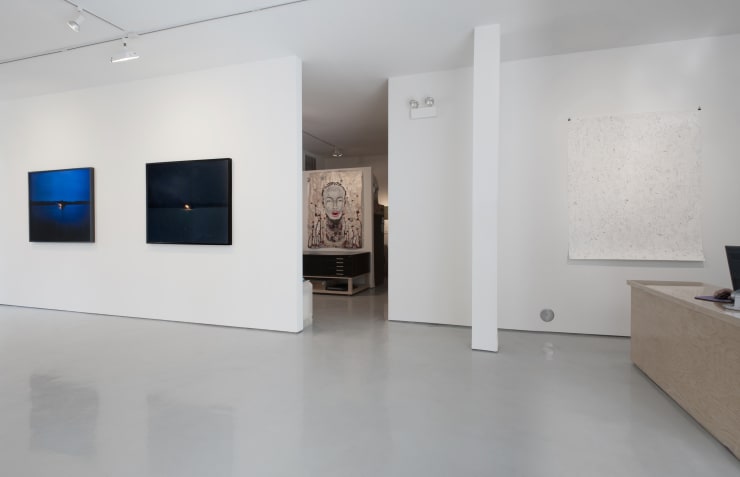 Justin Cooper, Sheree Hovsepian, Joel Ross, Carrie Schneider: Winter Experiment: Year in Review 2012 at Monique Meloche Gallery, Chicago