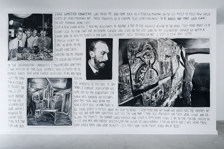 Rinus Van de Velde: Dear David Johnson,