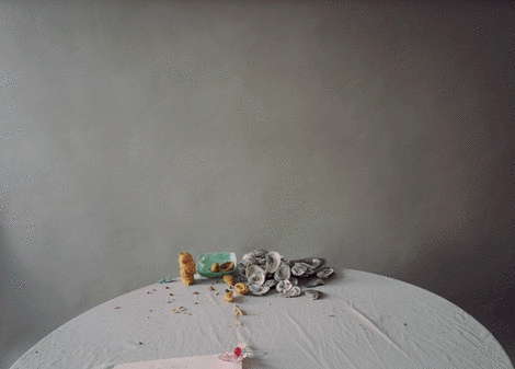 Laura Letinsky: The Dog and The Wolf