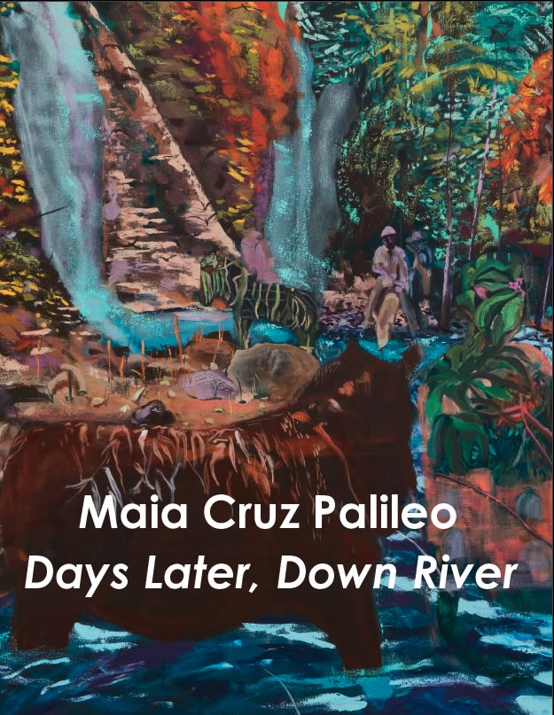 Maia Cruz Palileo: Days Later, Down River