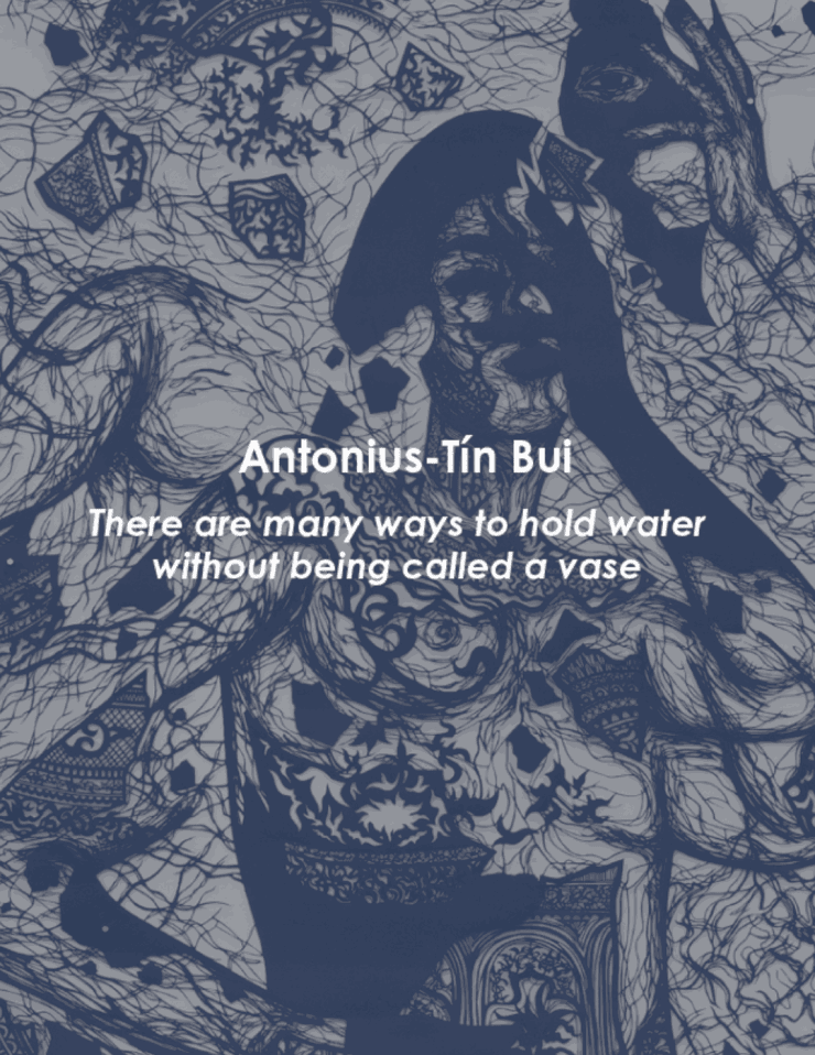Antonius-Tín Bui: There are many ways to hold water without being called a vase