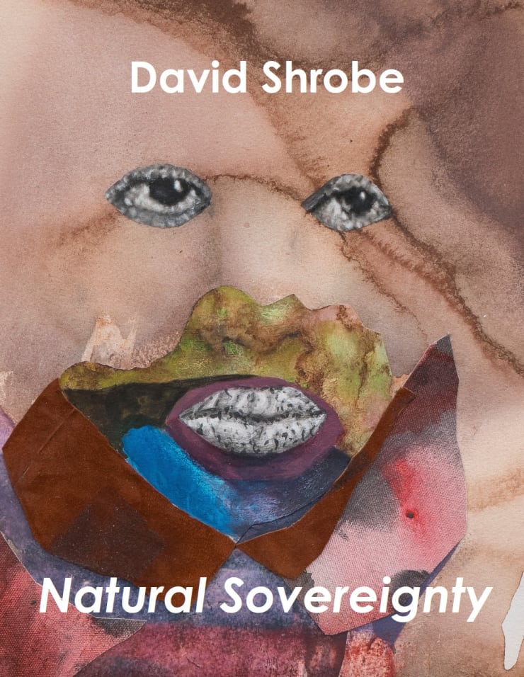 David Shrobe: Natural Sovereignty