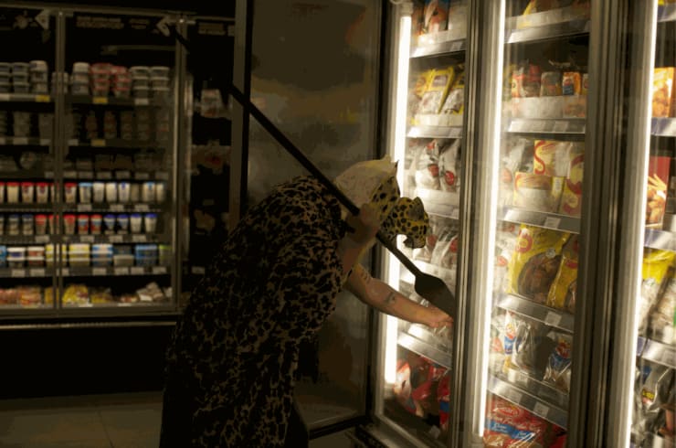 Denilson Baniwa: "Me deixa ser Selvagem", Biblioteca Nacional, Brasília, 2020
