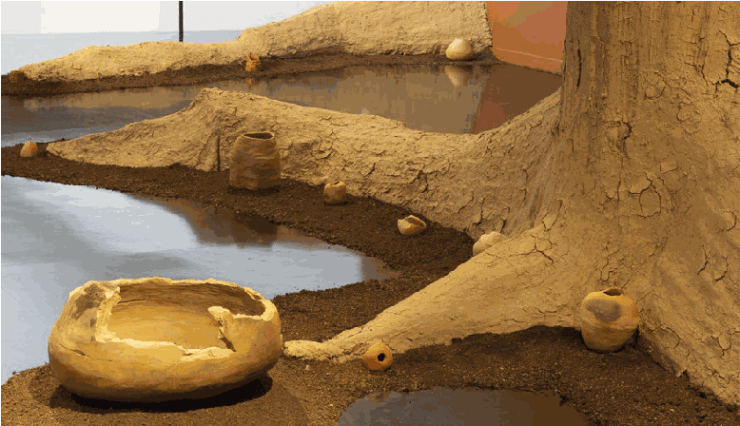 Exposição América - MAM, 2021