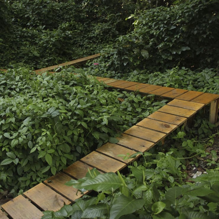 João Modé - Construtivo [Paninho] listras e colagem, 2019