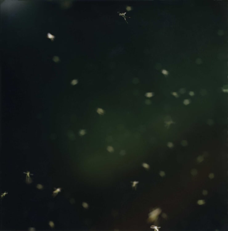 Naoya Hatakeyama, "Underground / Water #4505"", 1999