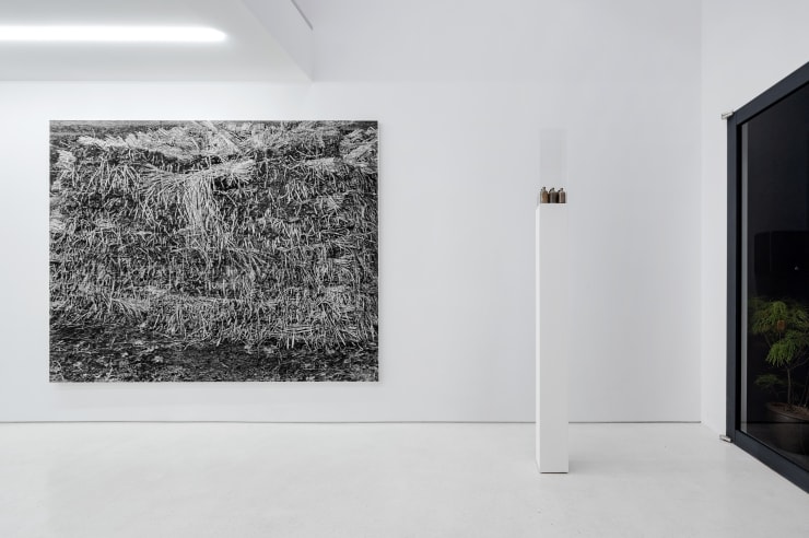 TAKESHI HONDA • TOMOKO OBANA