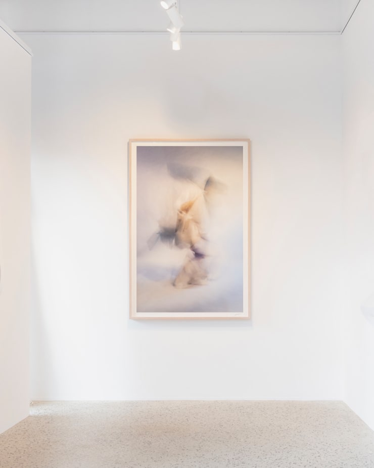 Transformation; photographed by Anu Kumar