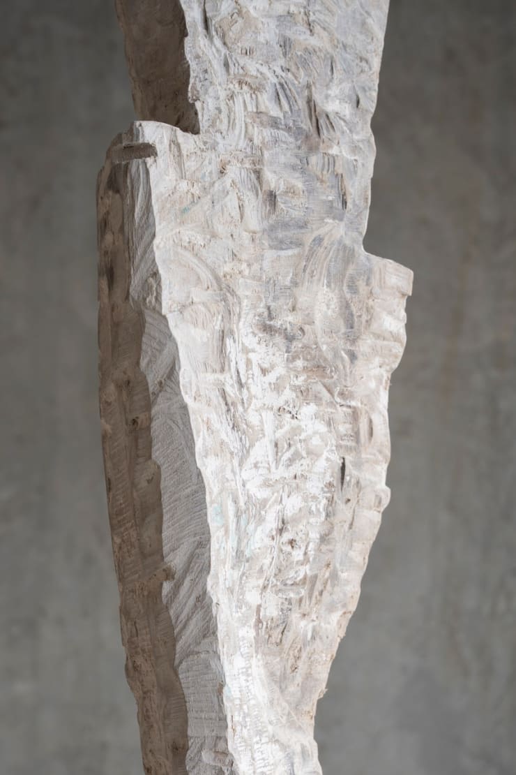 Internal Species; photographed by Astrid Mulder