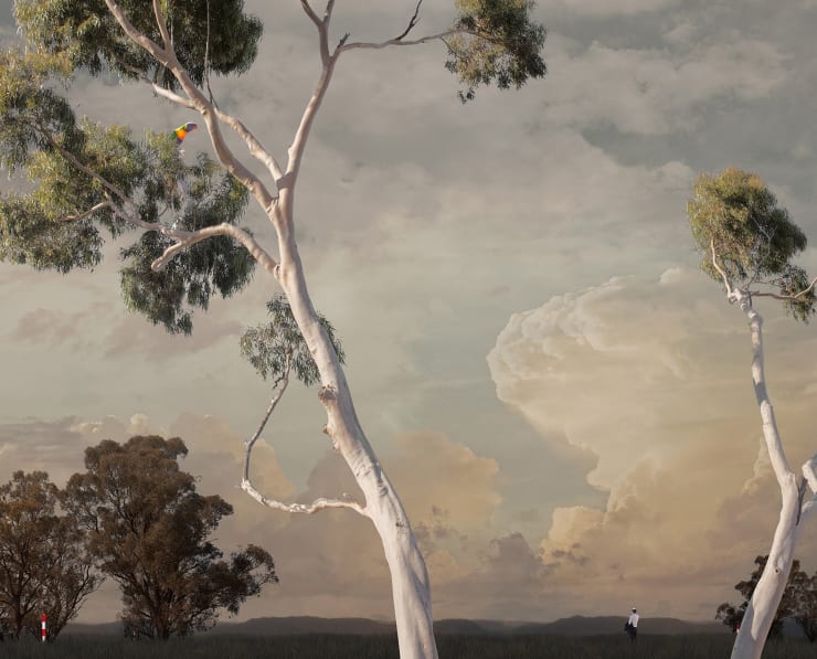 Fortius Archival Pigment Print 134.5 x 110cm Edition of 10 plus 2 artist's proofs Unframed - AUD $2820 GBP £1460 USD $1670 Framed - AUD $4010 GBP £2070 USD $2375