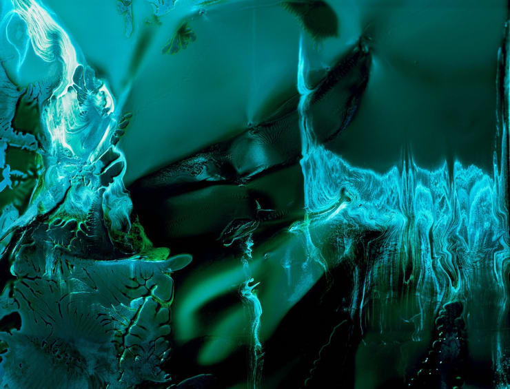 Latent 4 Photo Gloss Paper Limited Edition 8 110 x 147.05 cm Unframed $2900