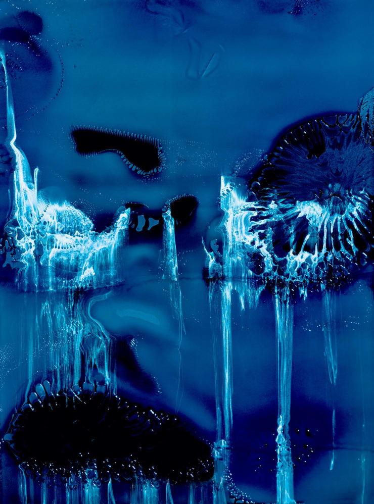 Latent 7 Photo Gloss Paper Limited Edition 8 110 x 147.05 cm Unframed $2900