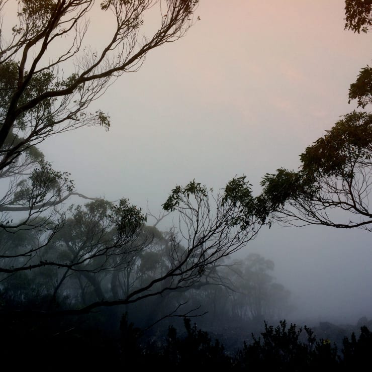 Sophia Szilagyi | Eternal Shift
