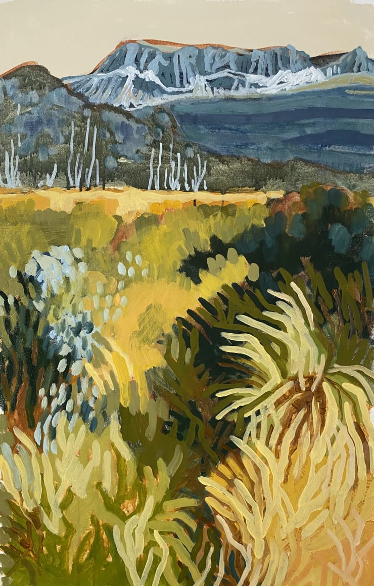 In Conversation with Meg Walters