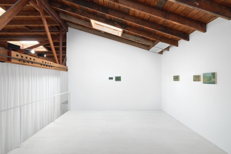 Laura Vahlberg, 'Trees Dream', at Vardan Gallery 2024.
