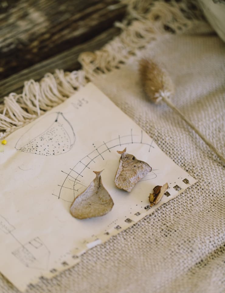 Frances Van Hasselt's designs