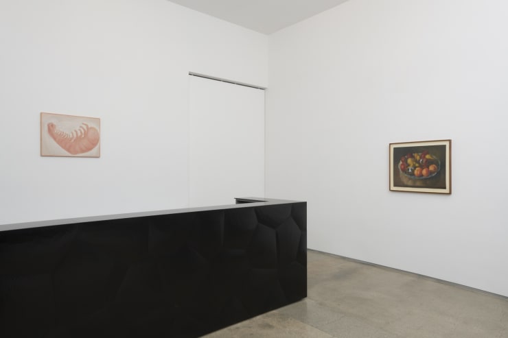 Edwardcella 2018 11 16 010