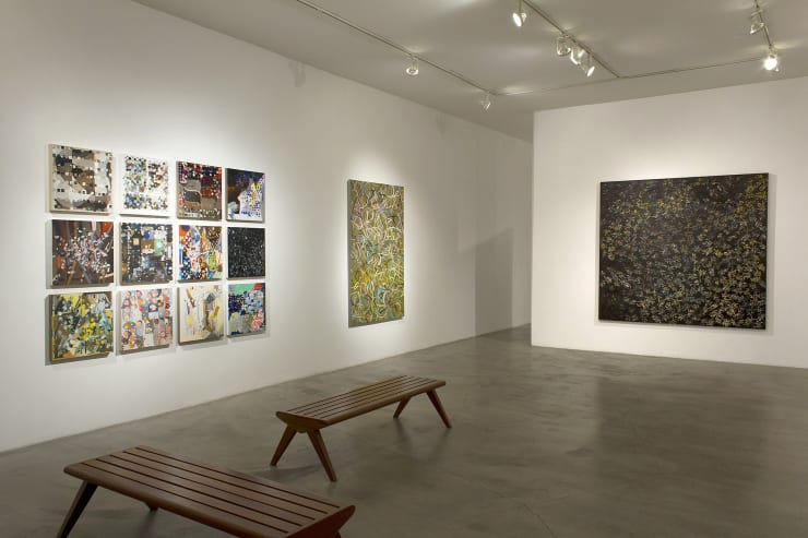 Aster Installation 3 Web