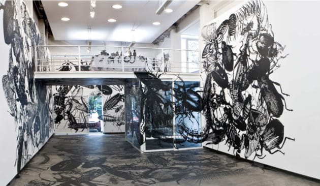 Regina Silveira, "Mundus Admirabilis", 2008