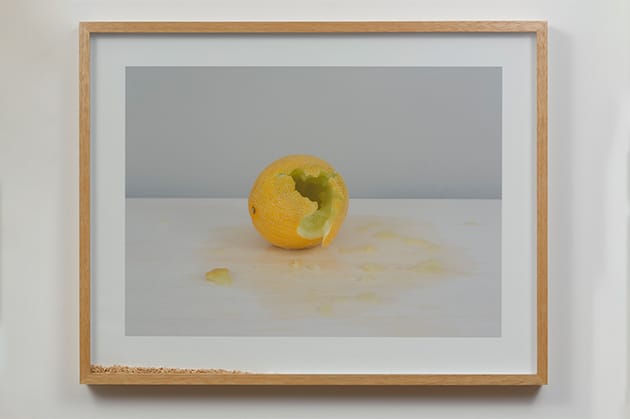 Pablo Lobato, Muda (Melão, #4), 2015