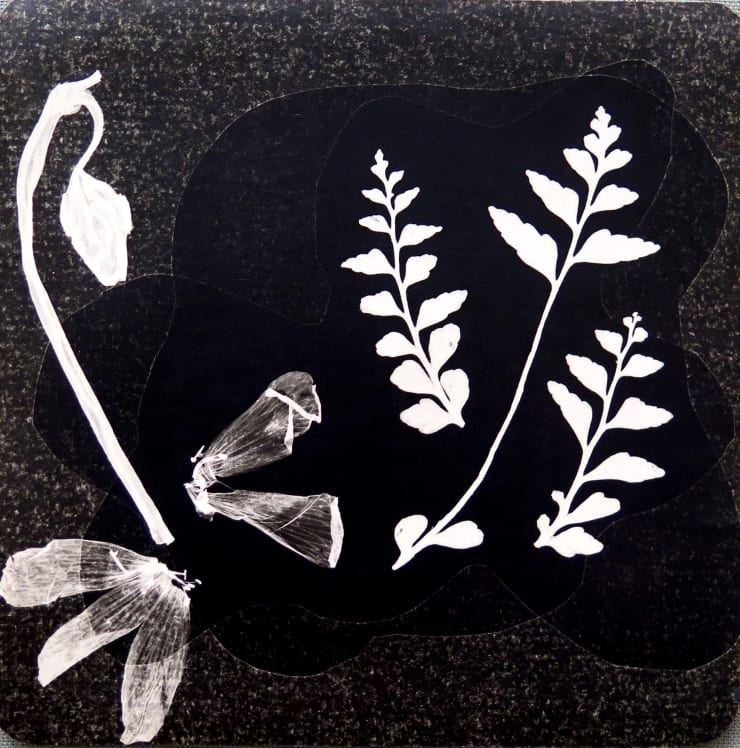 Gertrudes Altschul Sem título, fotograma, c. 1950 Gelatina e prata, vintage Vintage gelatin silver print 28,5 x 28,5 cm