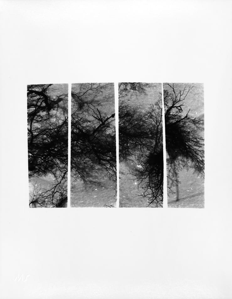 Geraldo de Barros Sem título da série "Sobras", 1996-1998/2024 fotografia em gelatina de prata sobre papel fibra gelatin silver print on fiber paper 35,8 x 27,28 cm 14.09 x 10.94 in ed 3/5