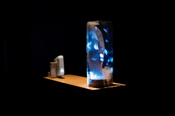 Eder Santos Oxalá, 2016 Mini projetor, caixa de madeira, redoma de vidro, vidro com filme adesivo para retroprojeção, base de ferro, almofada de veludo vermelho e base de pedra Mini projector, wooden box, glass dome, glass with adhesive film for rear projection, iron stand, red velvet cushion, stone base for the cushion 115 x 15 x 50 cm | 45.28 x 5.9 x 19.68 in