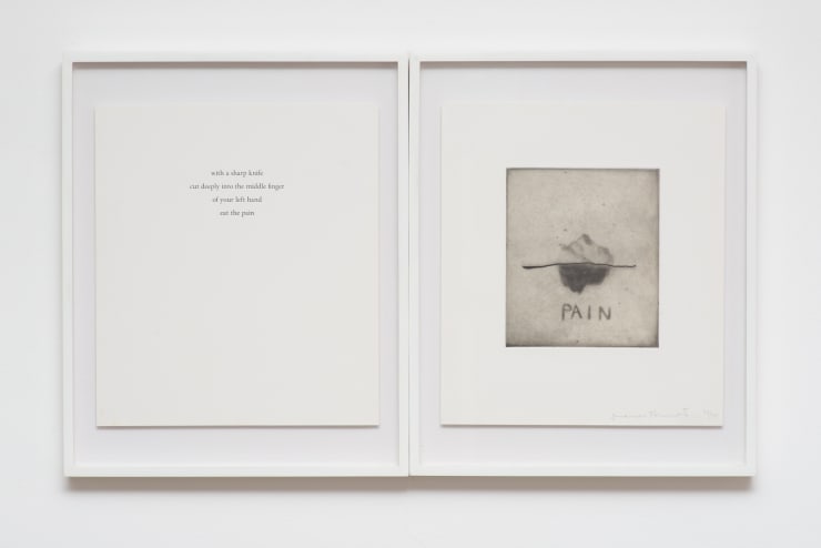 Marina Abramovic, Spirit Cooking, 1996