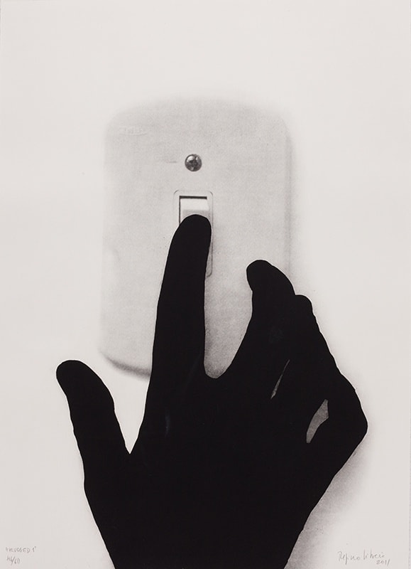 Regina Silveira, Plugged 1, 2011