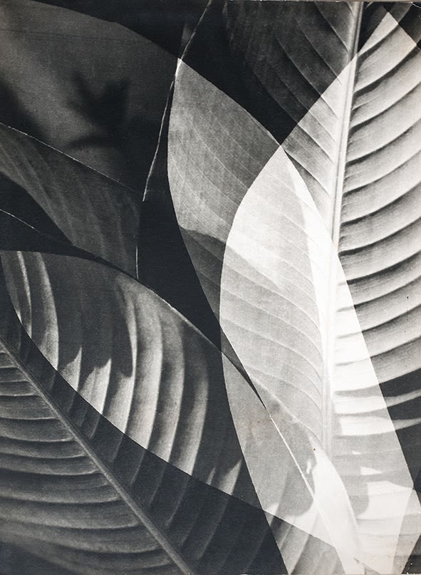 Gertrudes Altschul, Composição, c. 1950