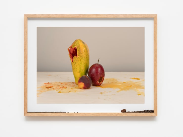 Pablo Lobato "Muda (Mamão, maracujá, pêssego, #1)", 2021 impressão de tinta mineral em papel de algodão, moldura de madeira, vidro, sementes de mamão, maracujá e pêssego mineral print on cotton paper, wooden frame, glass, papaya ,passion fruit and peach seeds 60 x 78 x 5 cm | 23.62 x 30.71 x 1.97 in