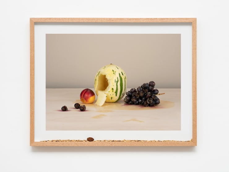 Pablo Lobato "Muda (Melão, nectarina, uvas, #1)", 2021 impressão de tinta mineral em papel de algodão, moldura de madeira, vidro, sementes de melão, nectarina e uvas mineral print on cotton paper, wooden frame, glass, melon, nectarine and grapes seeds 60 x 78 x 5 cm | 23.62 x 30.71 x 1.97 in